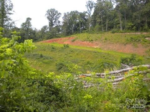 Asheville, North Carolina 28805, United States, ,Land,Active,160435