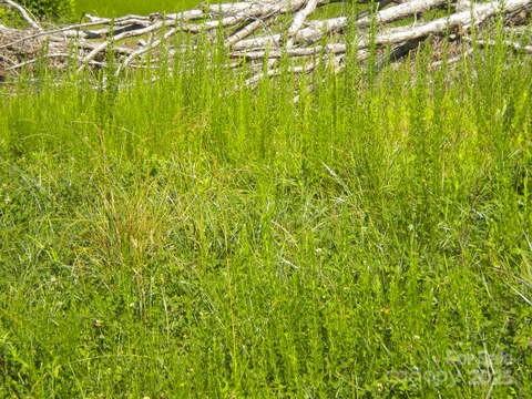 Asheville, North Carolina 28805, United States, ,Land,Active,160435