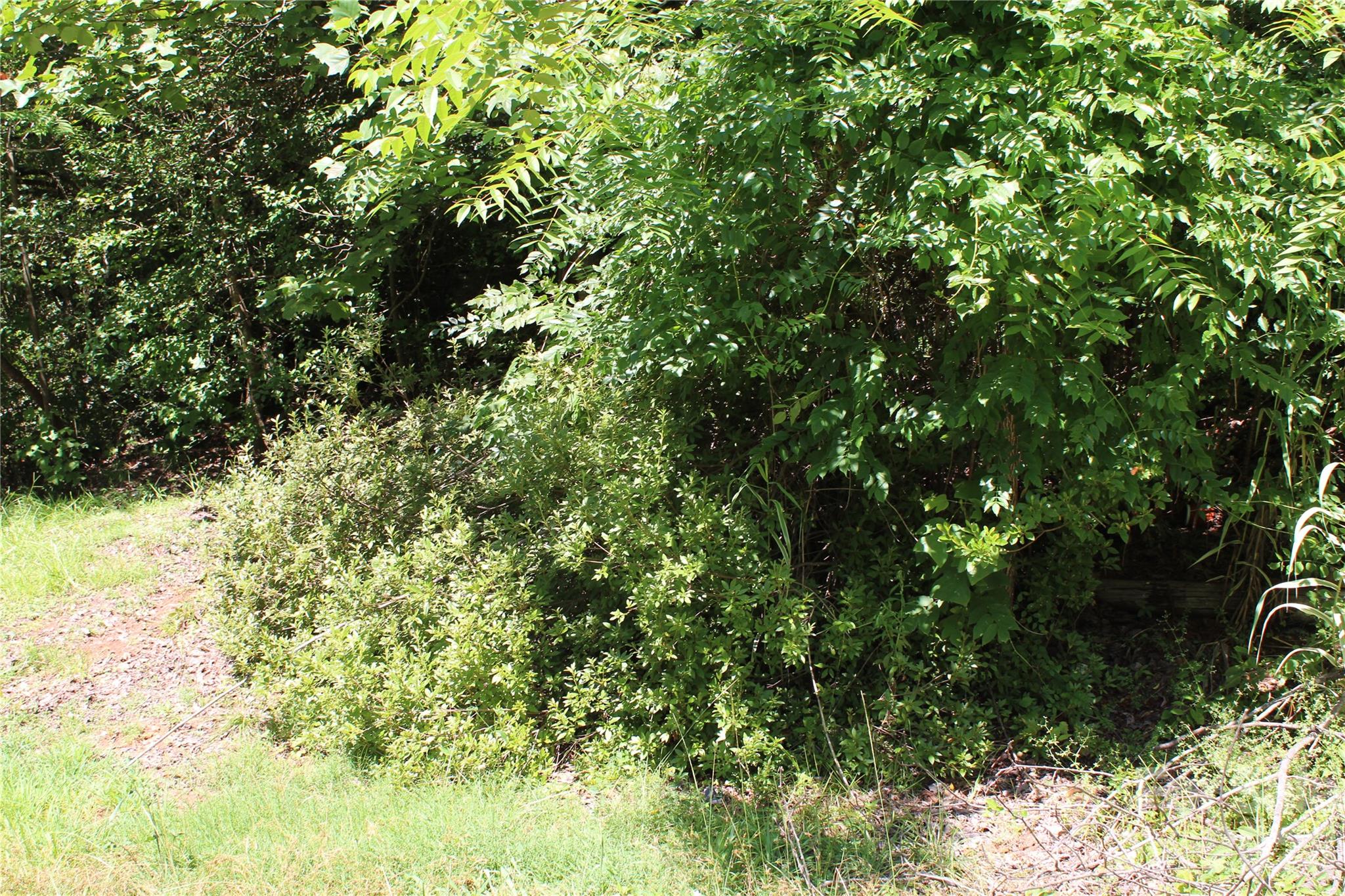 3041 Bills Creek Road, Lake Lure, NC, 28746