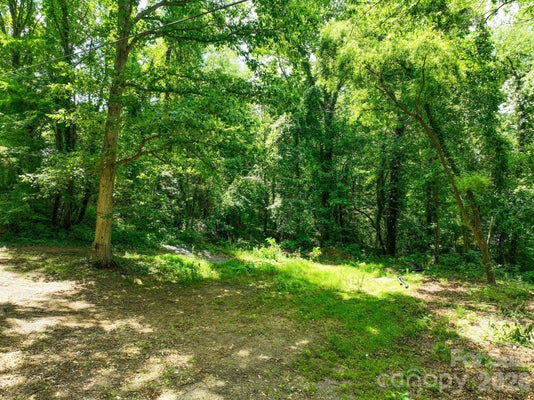 99999 CHUNNS COVE RD, ASHEVILLE, NC 28805 - Image 2f153122c0a21db4bc374f6b44e5e2b5/706564079