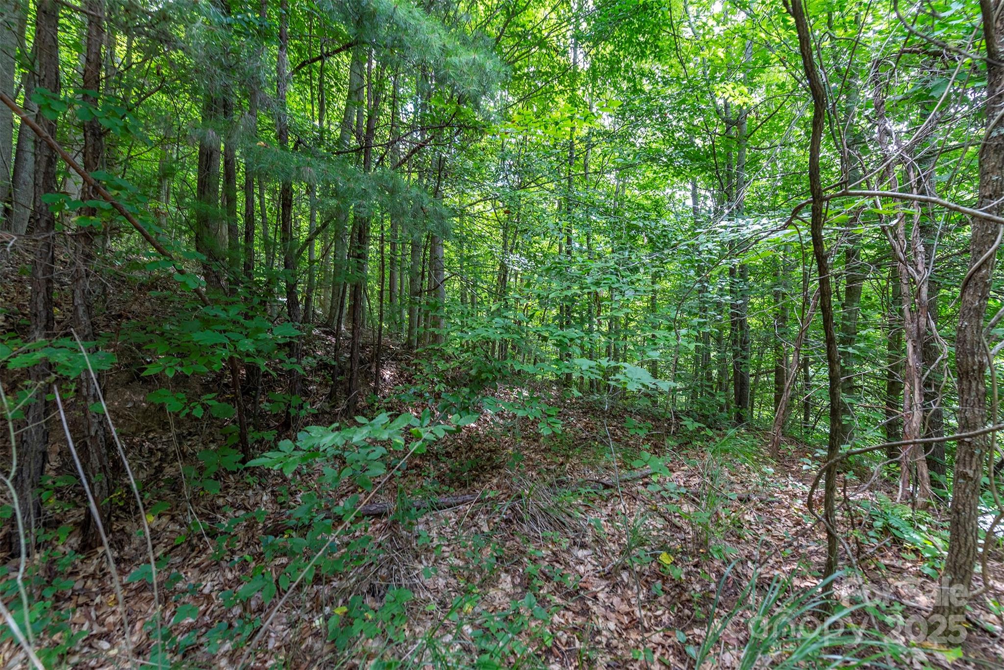 72 Applewood Lane 93