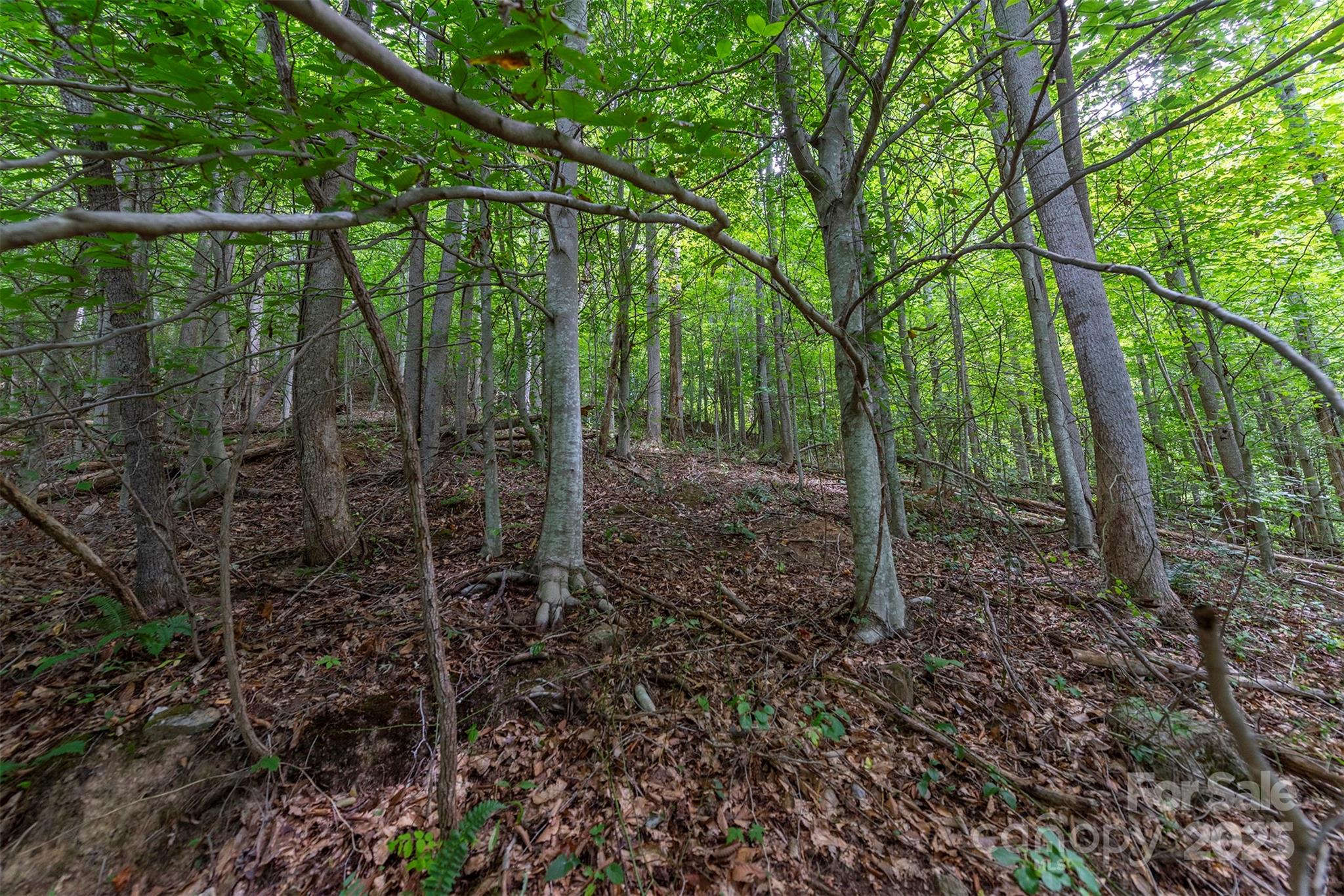 72 Applewood Lane 93