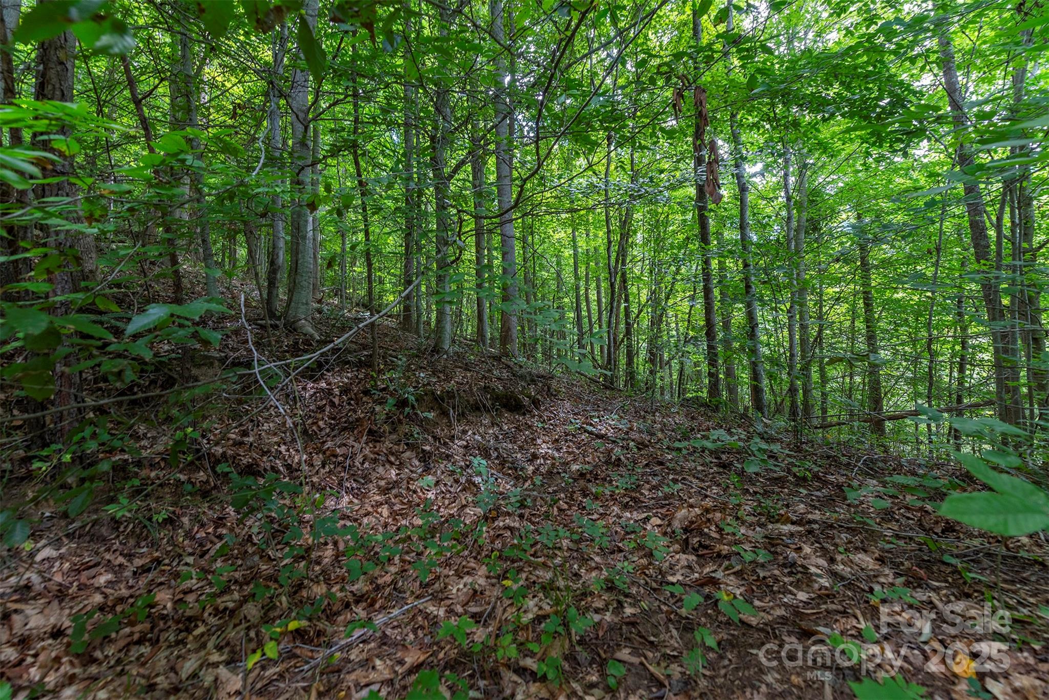 72 Applewood Lane 93