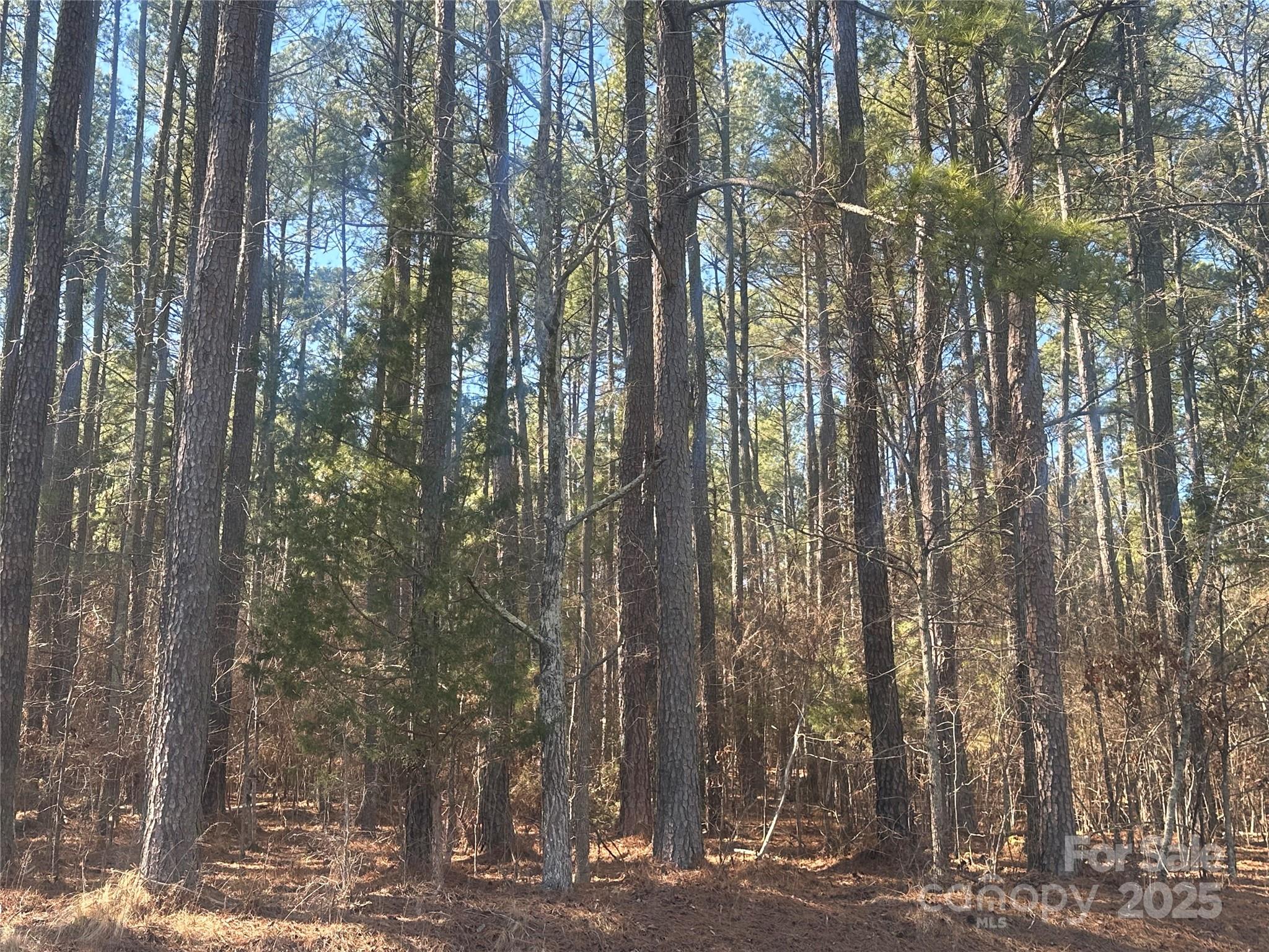 2410 Summerville Church Road