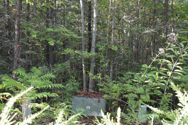 Ridgewalk Subdivision - Commercial Sale