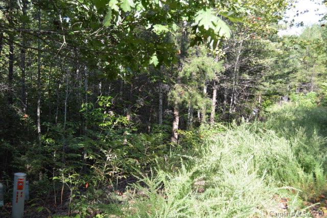 Ridgewalk Subdivision - Commercial Sale