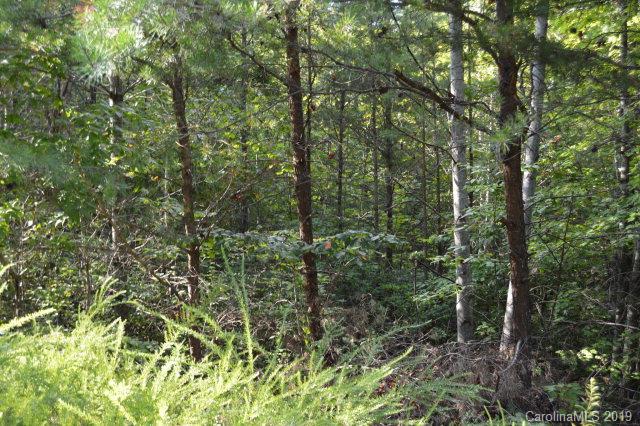 Ridgewalk Subdivision - Commercial Sale