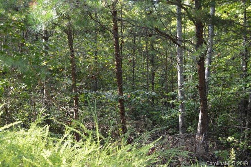 Wooded lot located in Marion outside the city limits. This lot contains .77 acres and could easily be cleared for your home. Lot 6 and lot 8 are also available. Restrictions are minimal allowing single and doublewides. Call today for your own private showing.