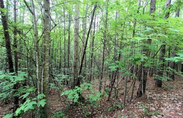 Deer Run at Lake Lure - Land