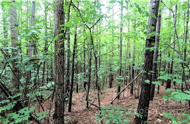 Deer Run at Lake Lure - Land