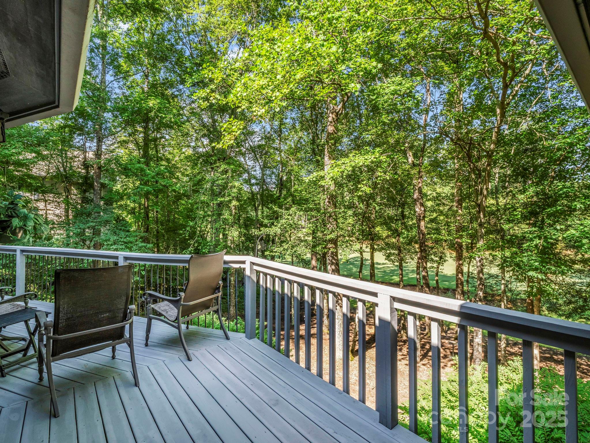 Rumbling Bald on Lake Lure - Residential