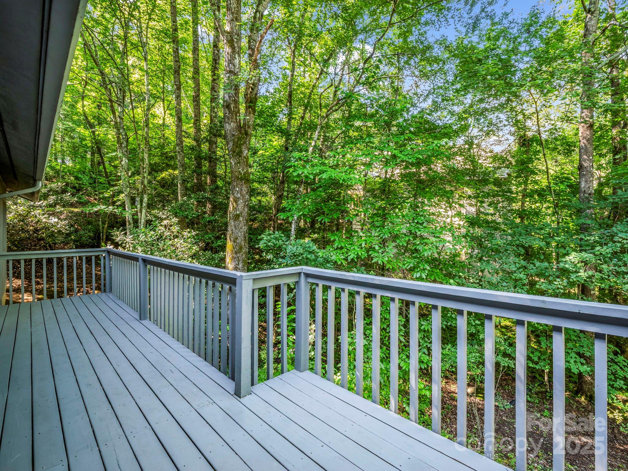 Rumbling Bald on Lake Lure - Residential