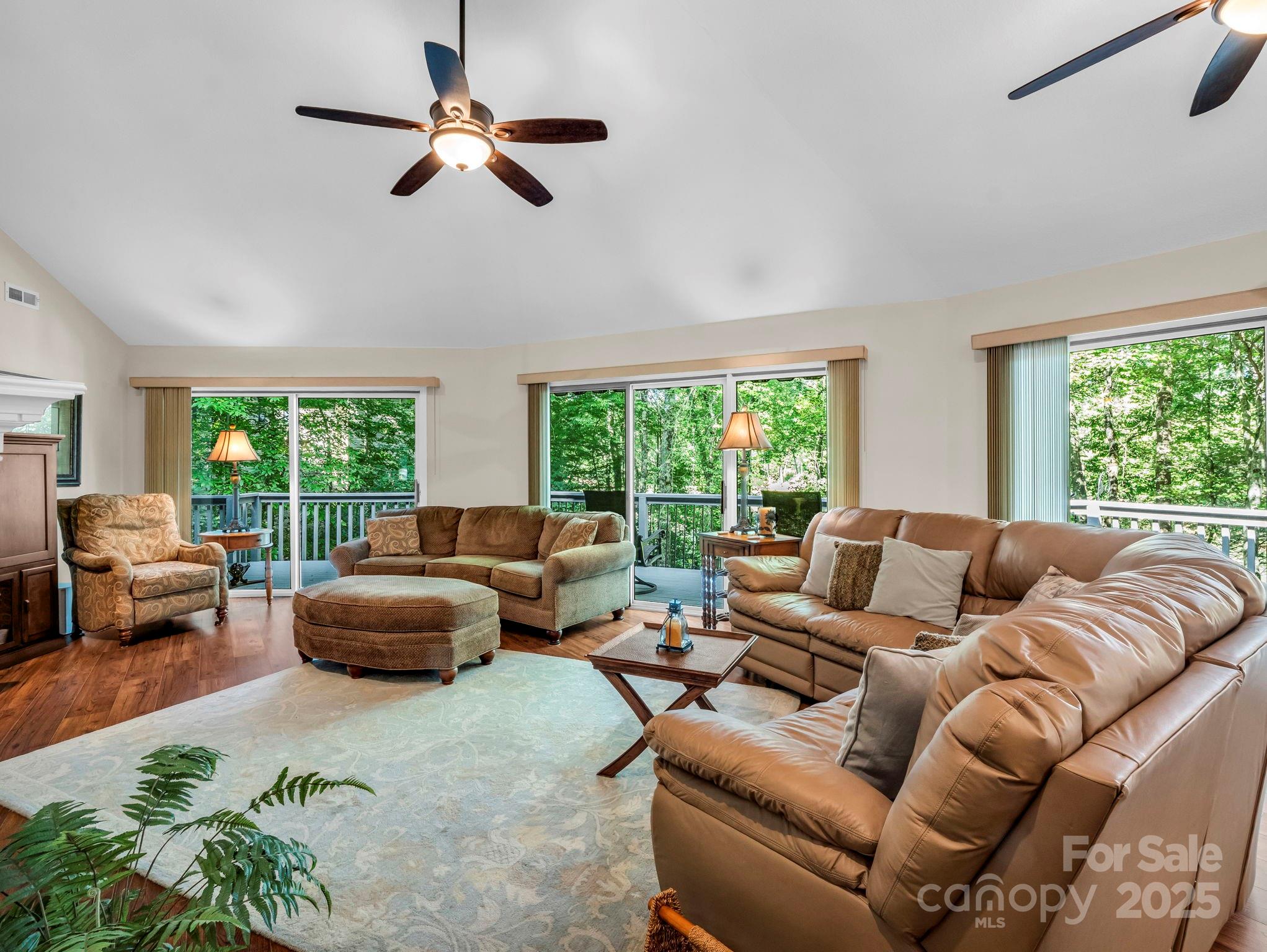 Rumbling Bald on Lake Lure - Residential