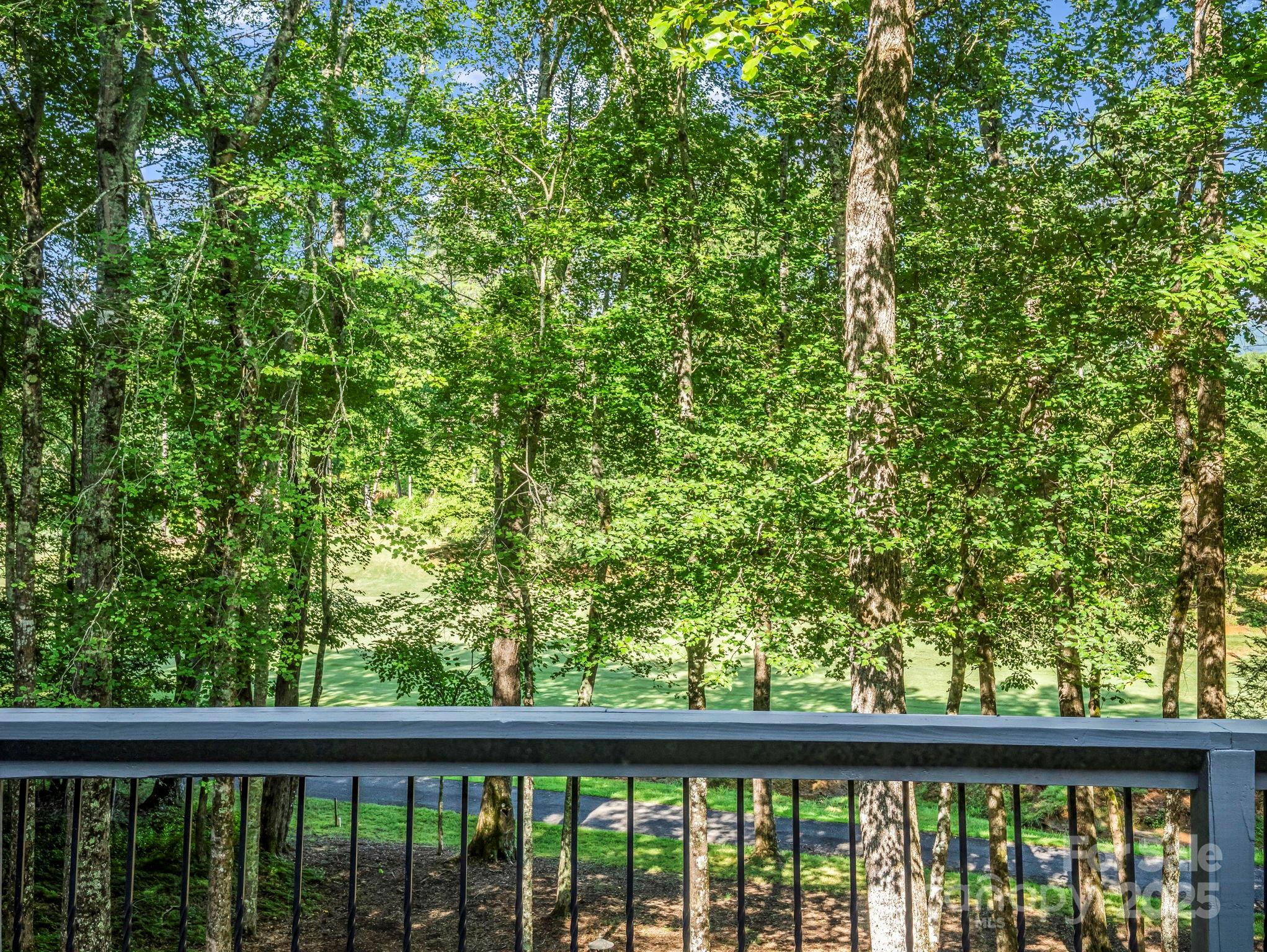 Rumbling Bald on Lake Lure - Residential