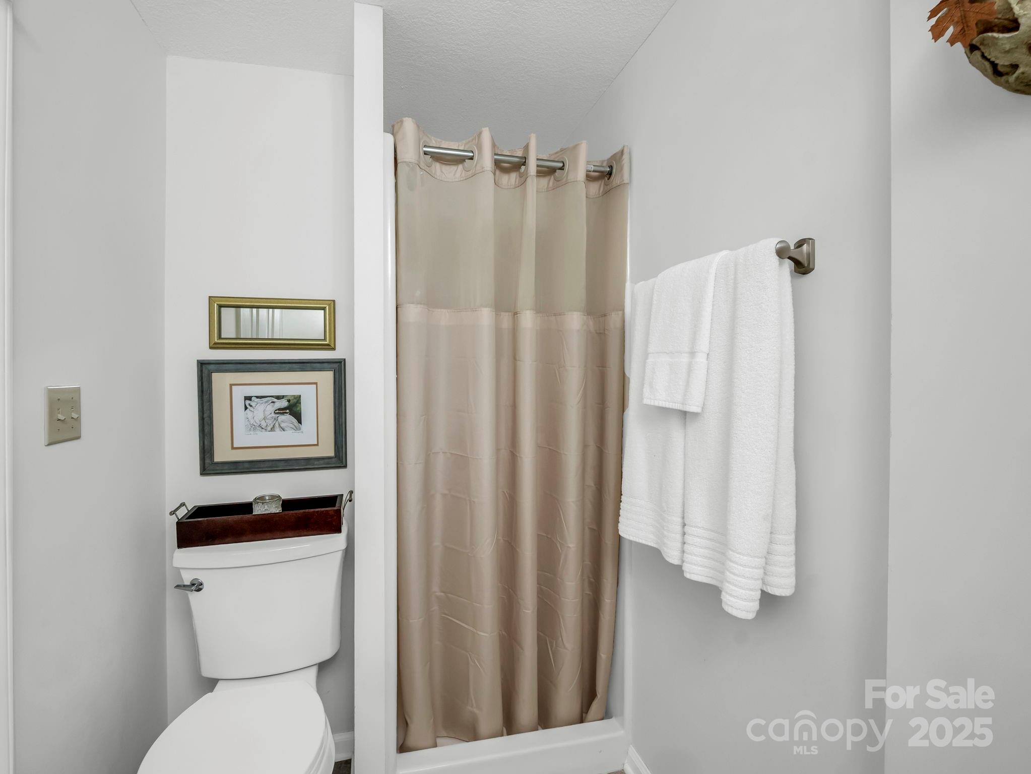 Rumbling Bald on Lake Lure - Residential