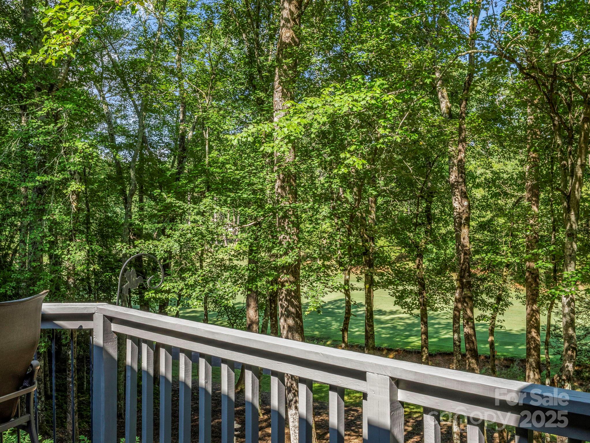Rumbling Bald on Lake Lure - Residential