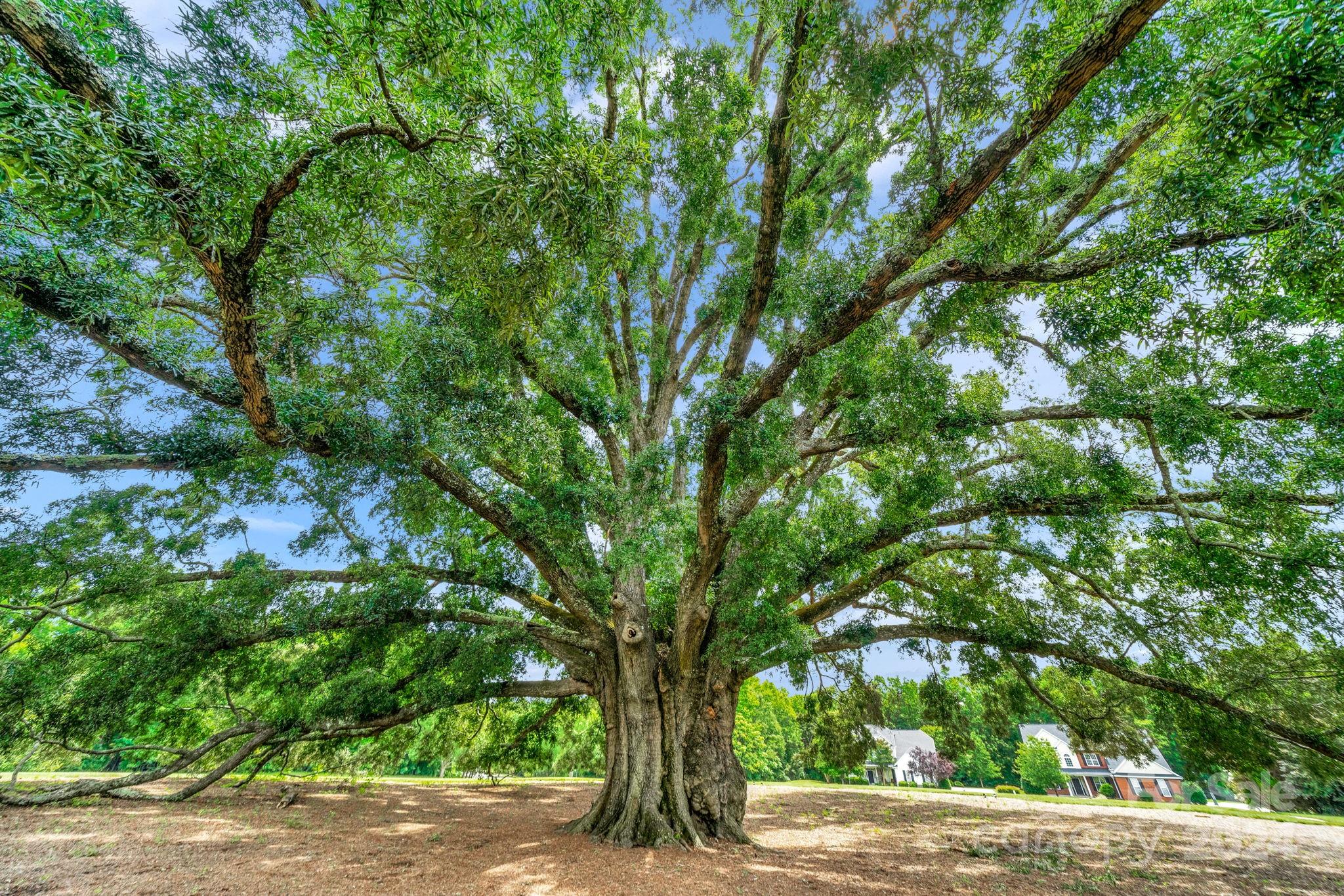 The Reserve - Residential
