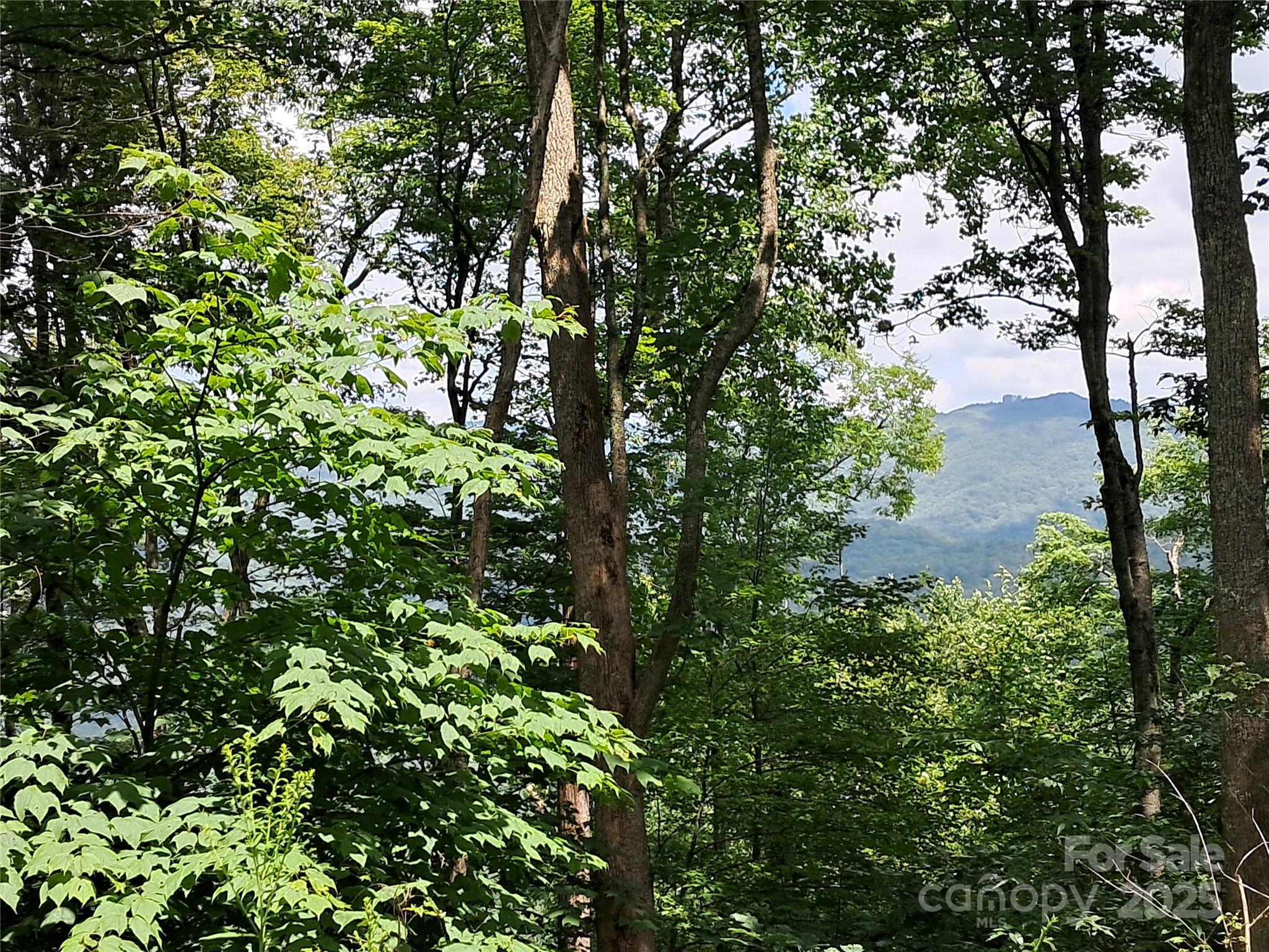 Hurricane Ridge Ltd - Land