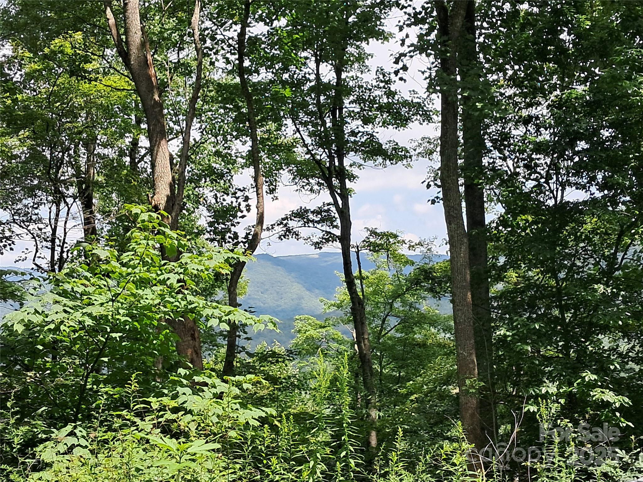 Hurricane Ridge Ltd - Land