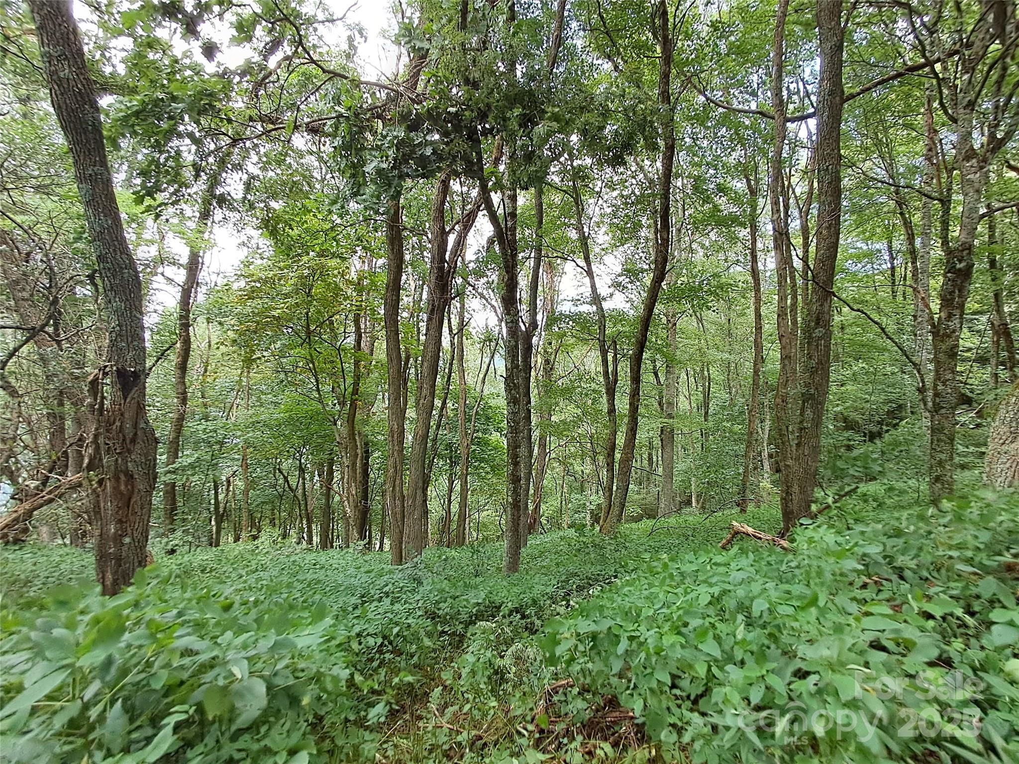 Hurricane Ridge Ltd - Land