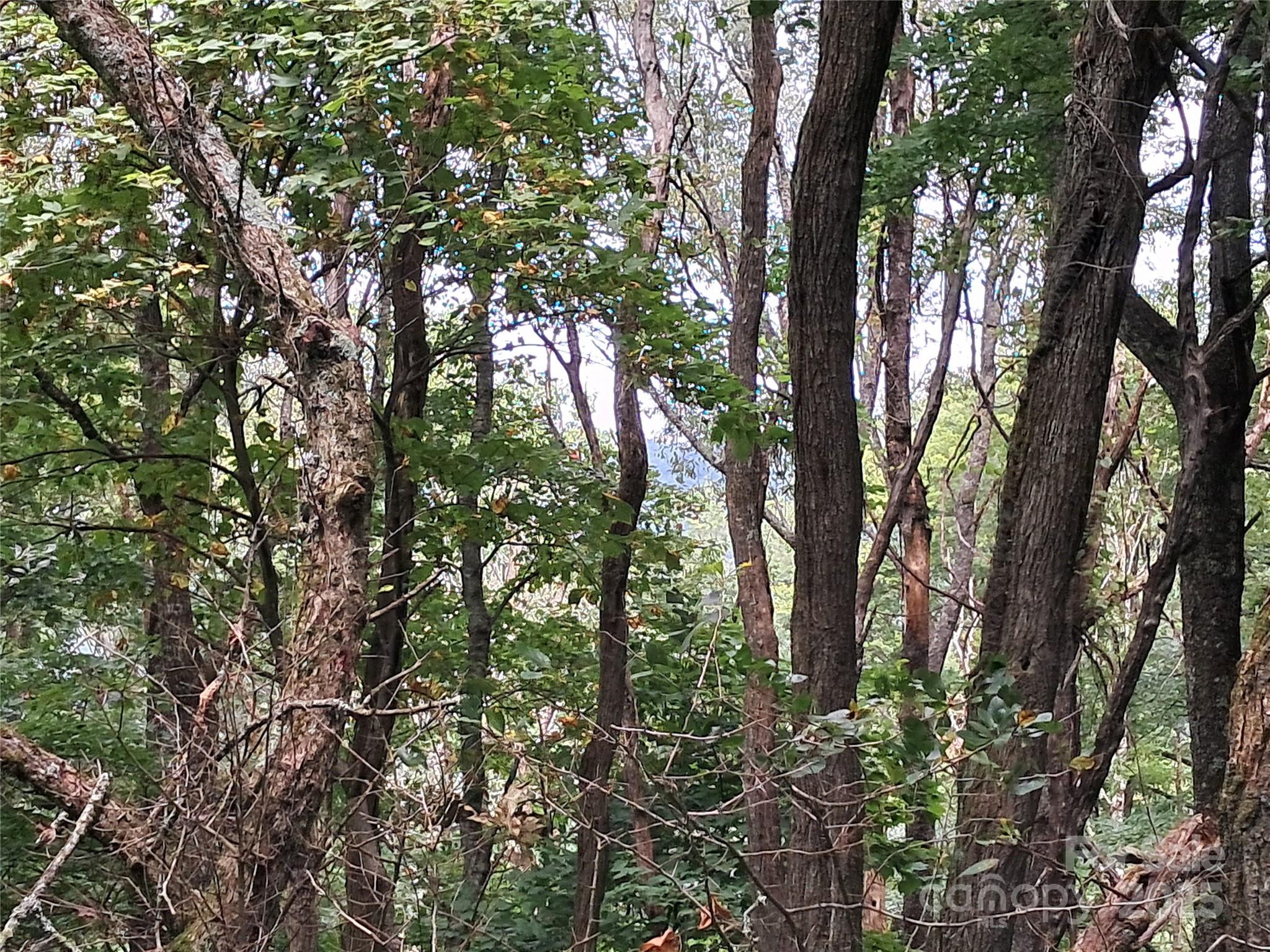 Hurricane Ridge Ltd - Land