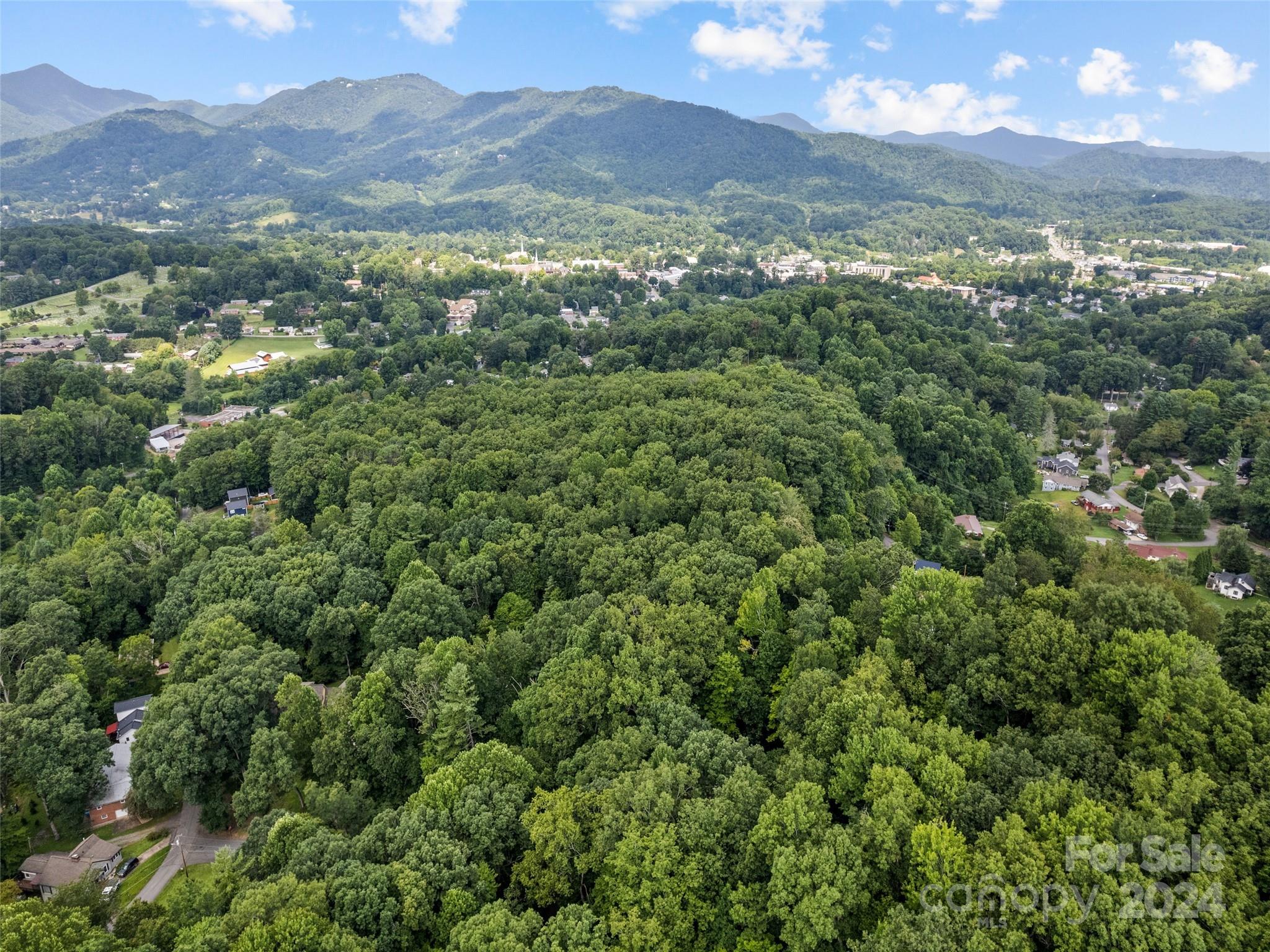 Thomas Park - Residential