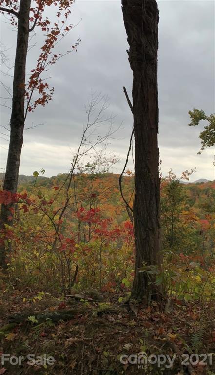 375 Buck Drive