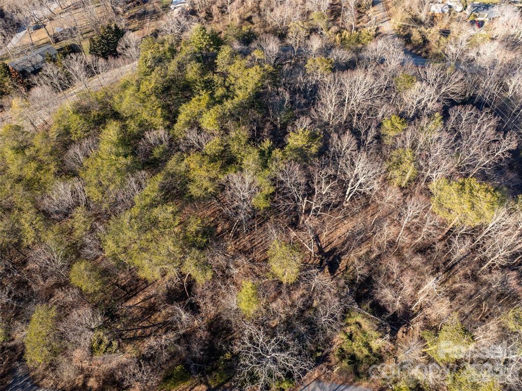 Sherwood Forest - Land