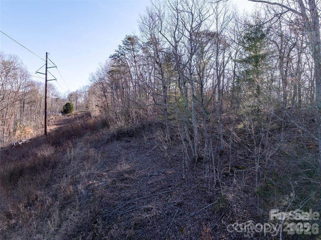 Sherwood Forest - Land