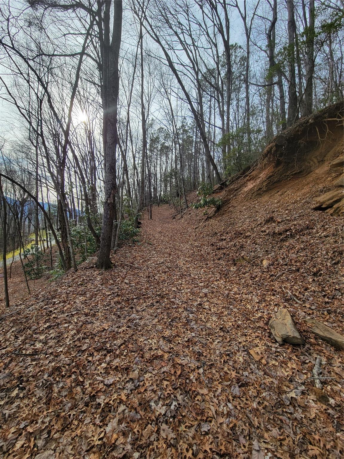 0000 Lookout Terrace Road