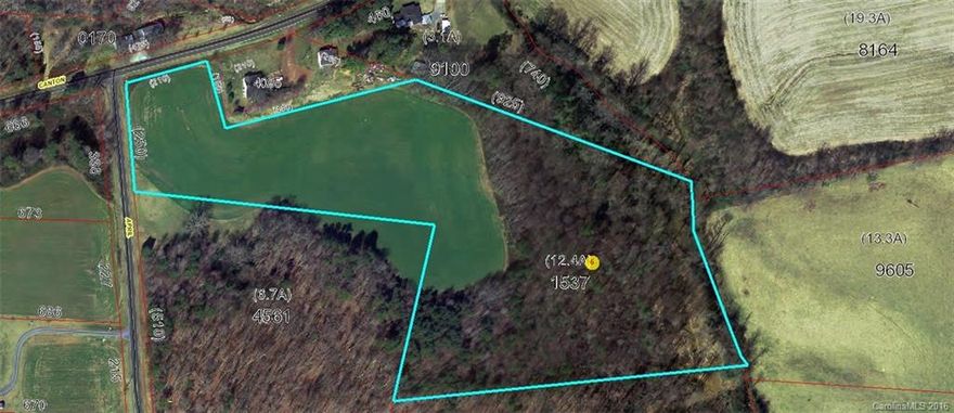 Beautiful wooded and pastured land located at corner of Canton and April Road.  Perfectly suited for Farming or Horses. Build your home in the woods and enjoy the quiet country!