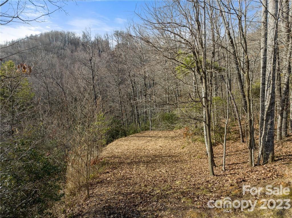 28 Trillium Lane C-1