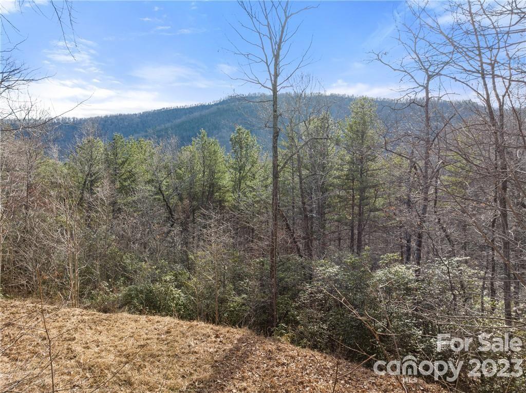 28 Trillium Lane C-1