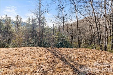28 Trillium Lane C-1 Black Mountain NC 28711