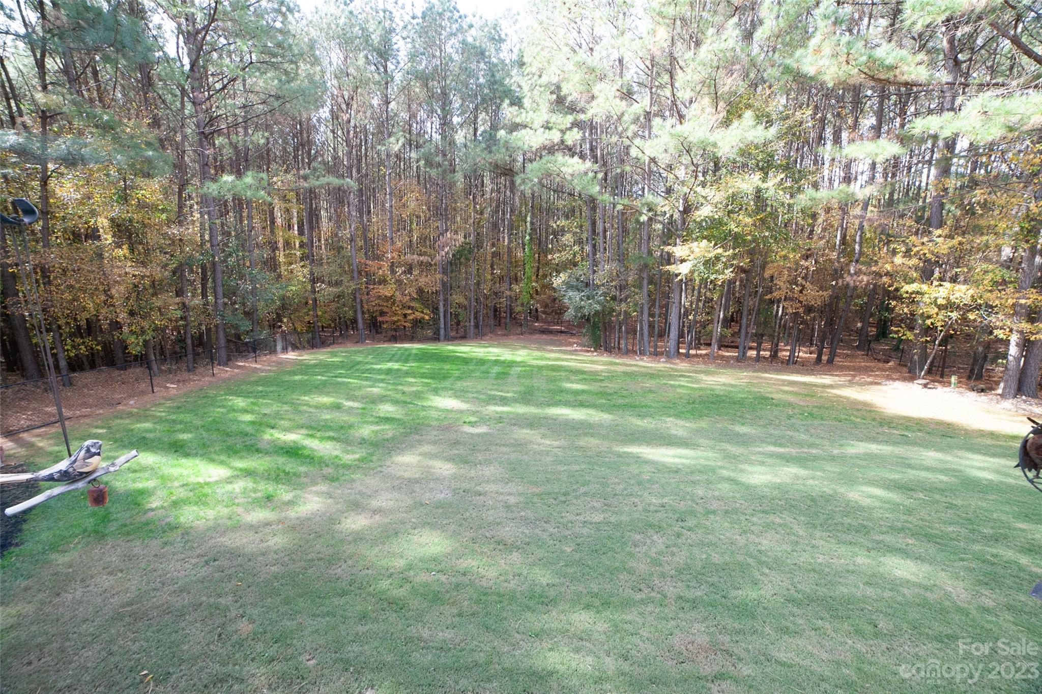 Wild Pine - Residential