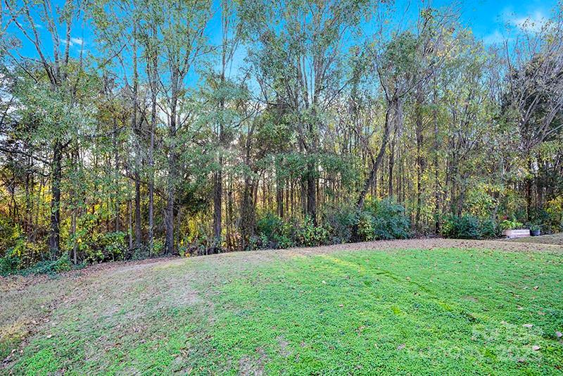 Arbor Hills - Residential