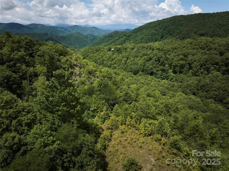 Beautiful 3.12-Acre Vacant Land in Alarka Highlands, Bryson City, NC  Discover the perfect opportunity to build your dream retreat on this expansive 3.12-acre parcel nestled in the scenic Alarka Highlands. Surrounded by breathtaking mountain views and lush natural beauty, this property offers a tranquil escape just minutes from Bryson City. Ideal for outdoor enthusiasts, nature lovers, or those seeking privacy and serenity, this land provides ample space for your vision—whether it’s a cabin, vacation home, or a private sanctuary. Conveniently located close to outdoor activities, parks, and local amenities, this spacious lot is a rare find in one of North Carolina’s most charming areas. Don’t miss your chance to own a piece of the mountains!