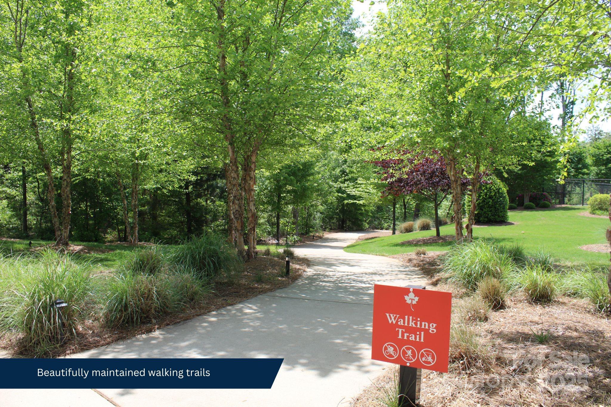 Tree Tops - Residential