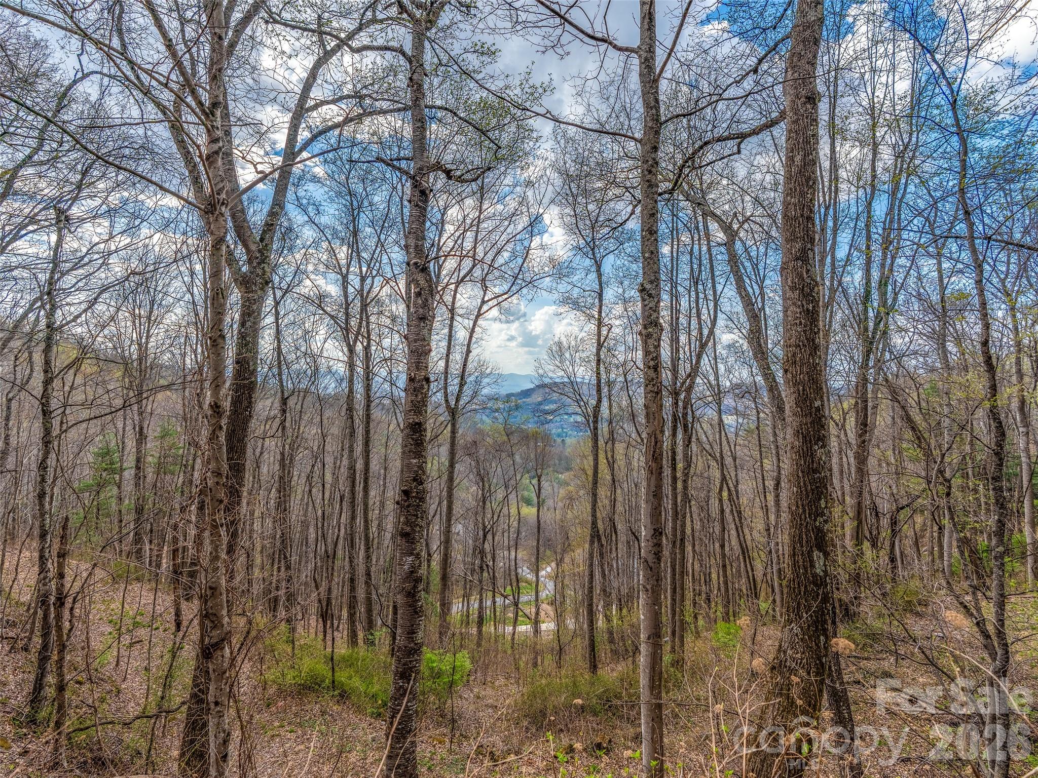 Mountain View Estates - Land