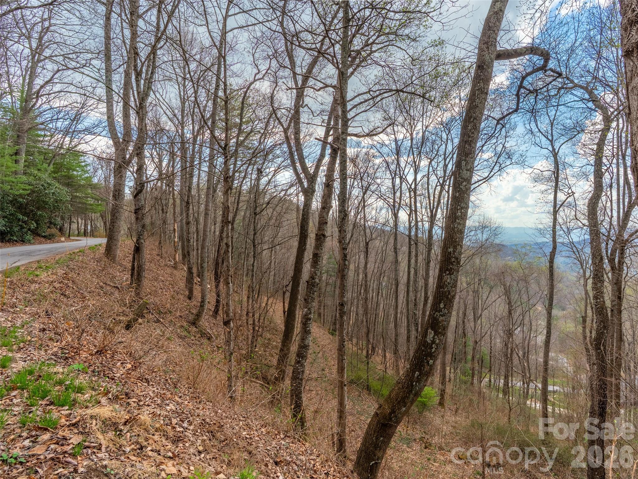 Mountain View Estates - Land