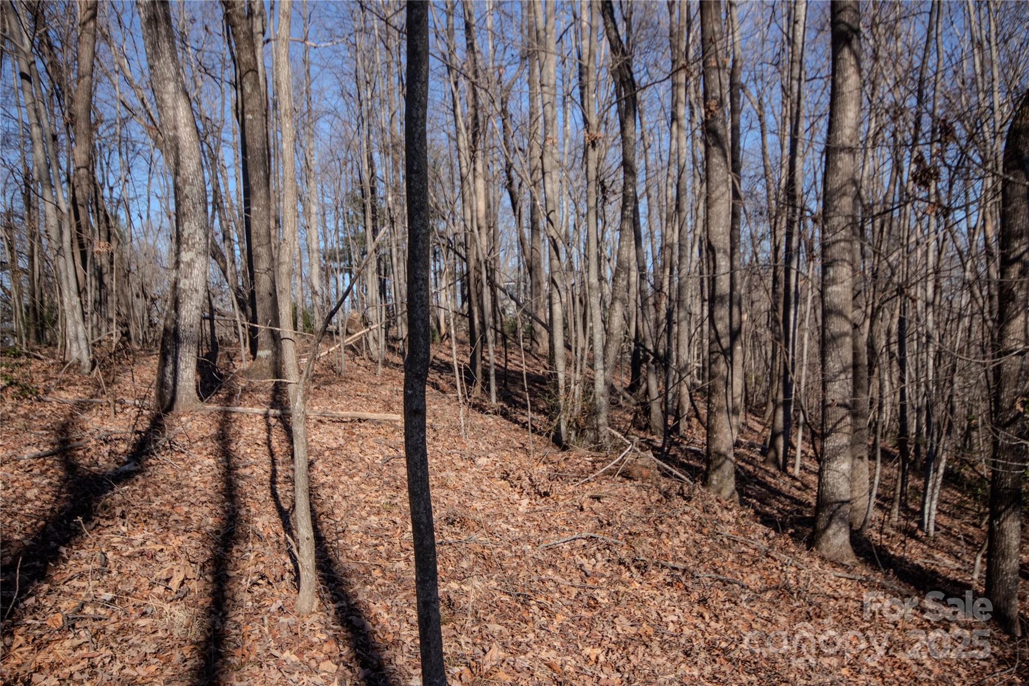 Eagle Heights - Land