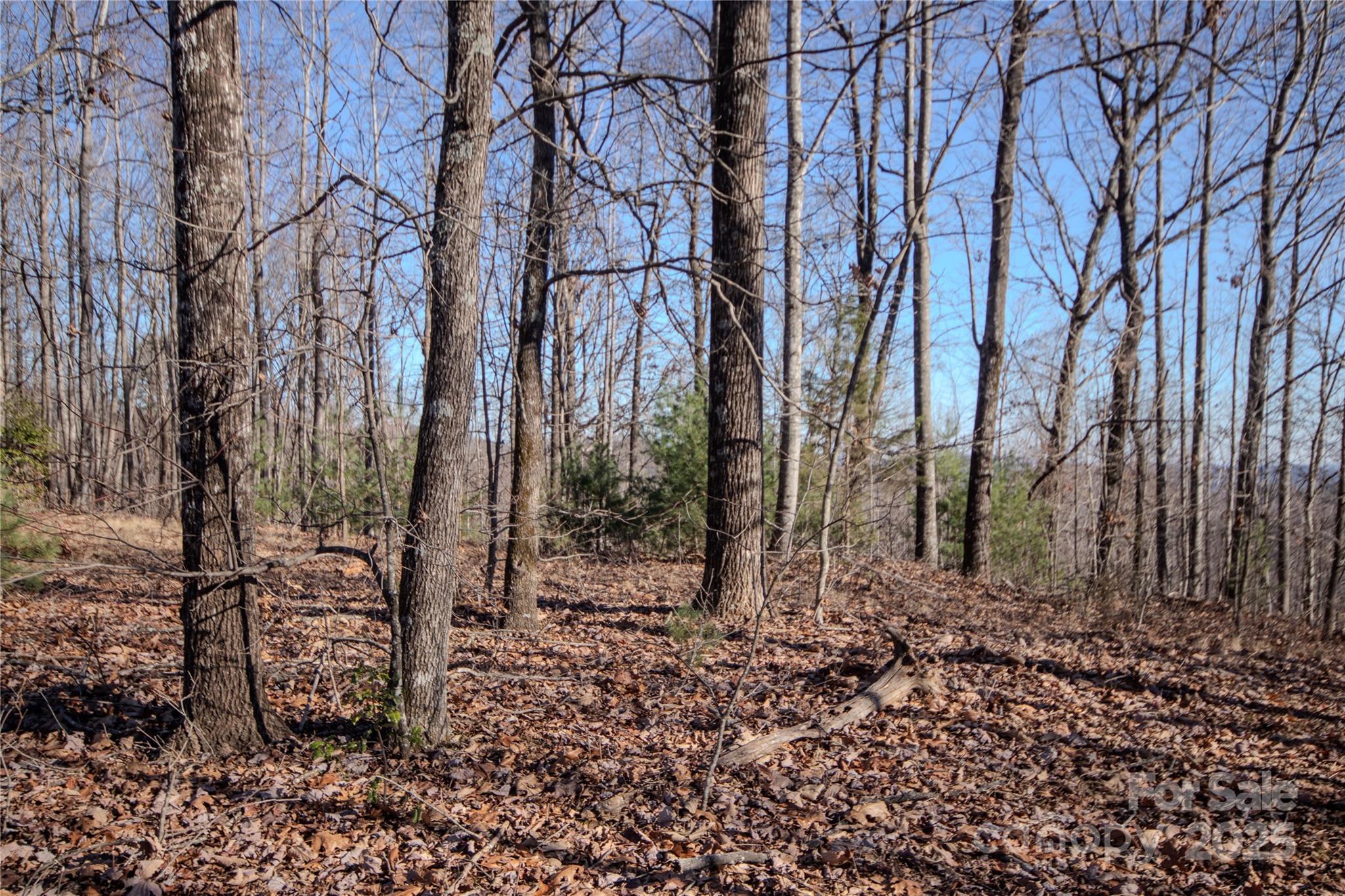 Eagle Heights - Land