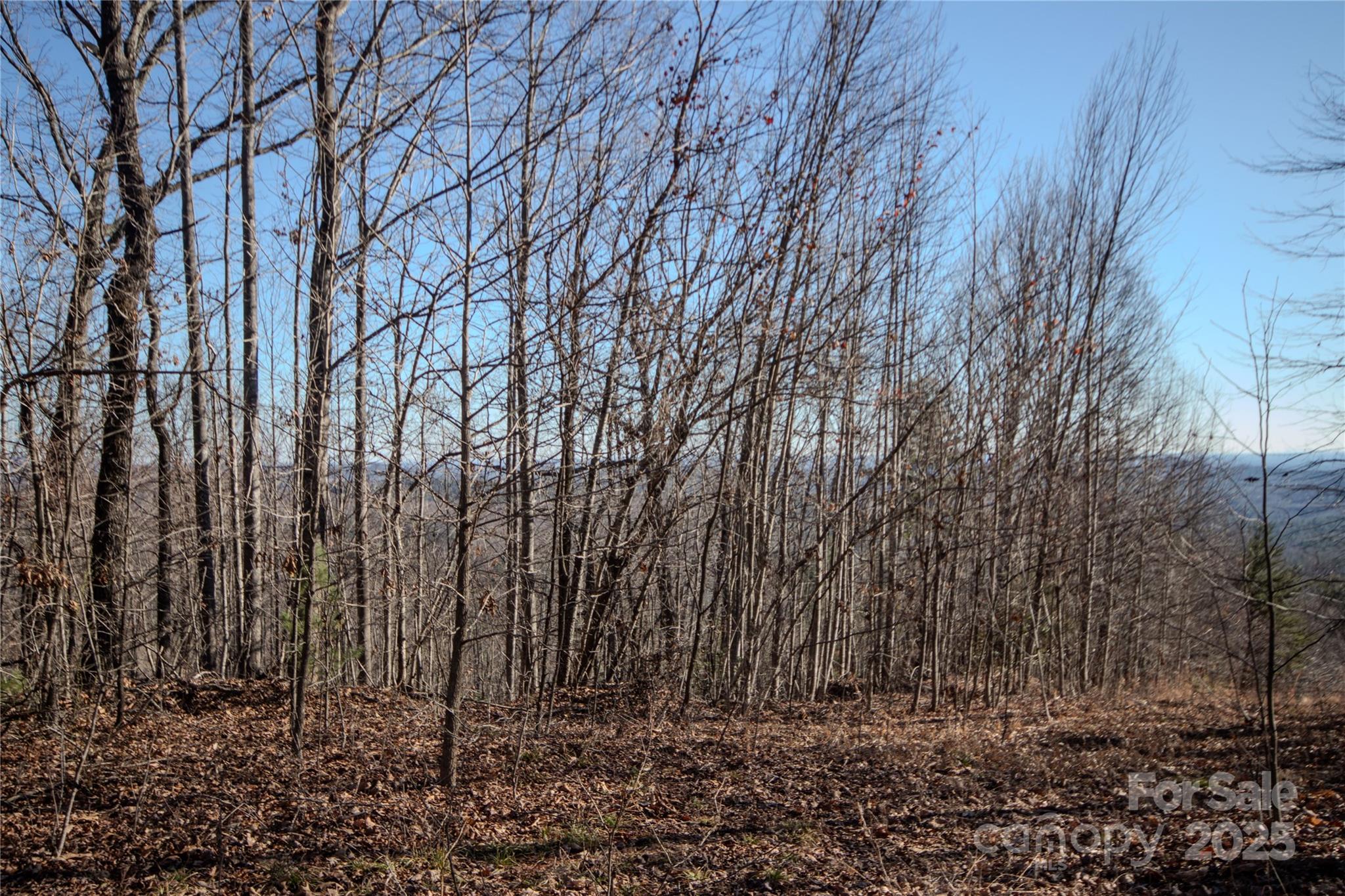 Eagle Heights - Land