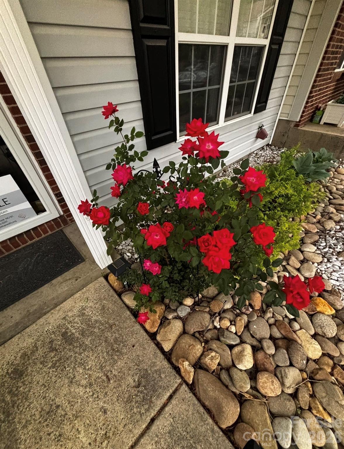 Holly Ridge - Residential