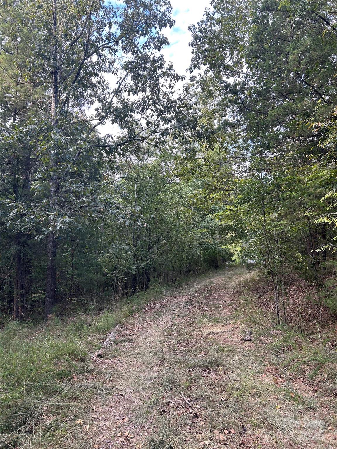 3485 Cedar Circle Road