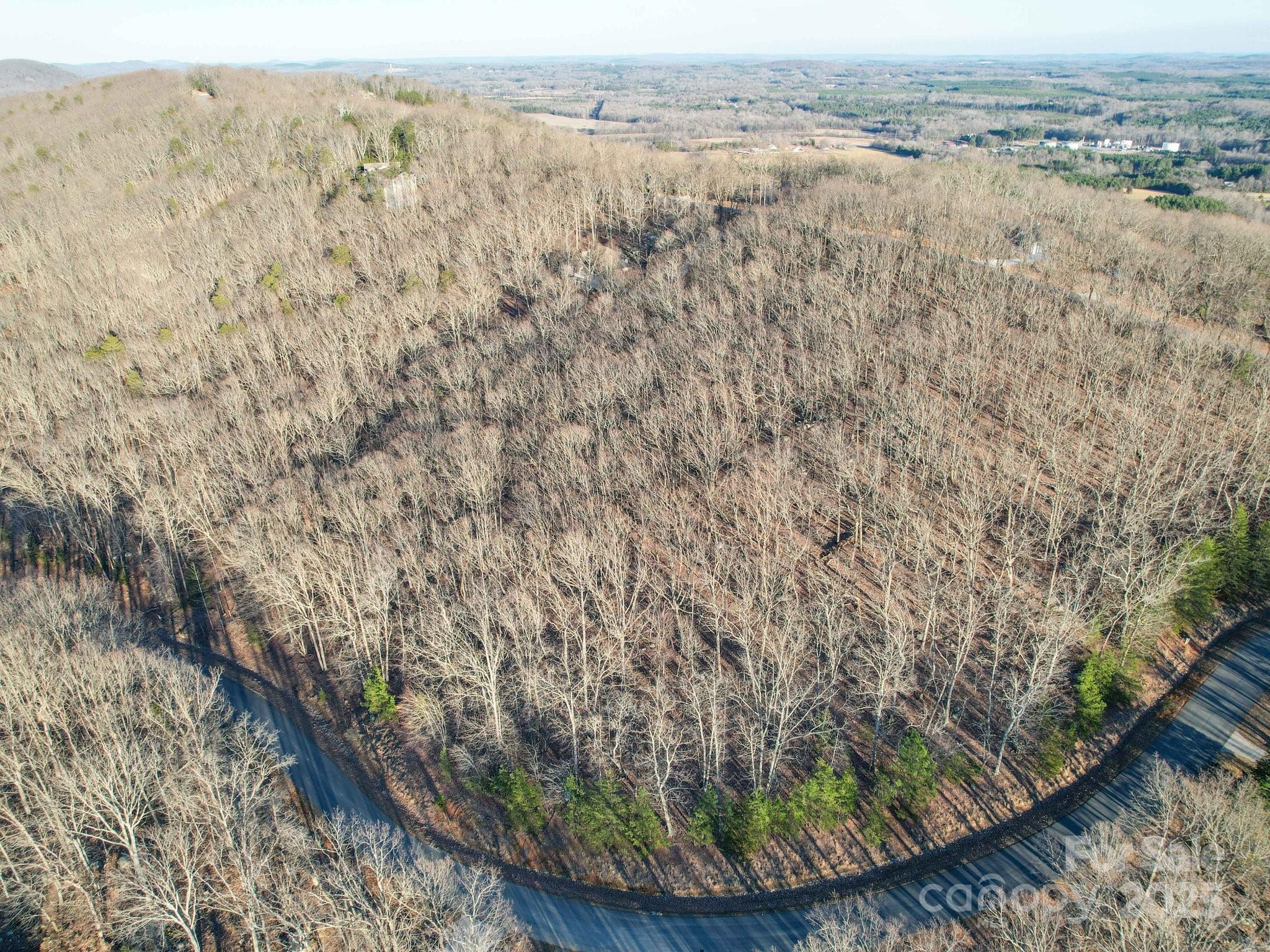 485 Pinnacle Trail 58