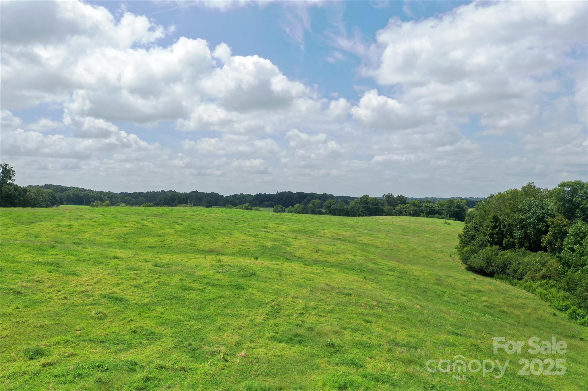 000 Old Goldmine Road 9