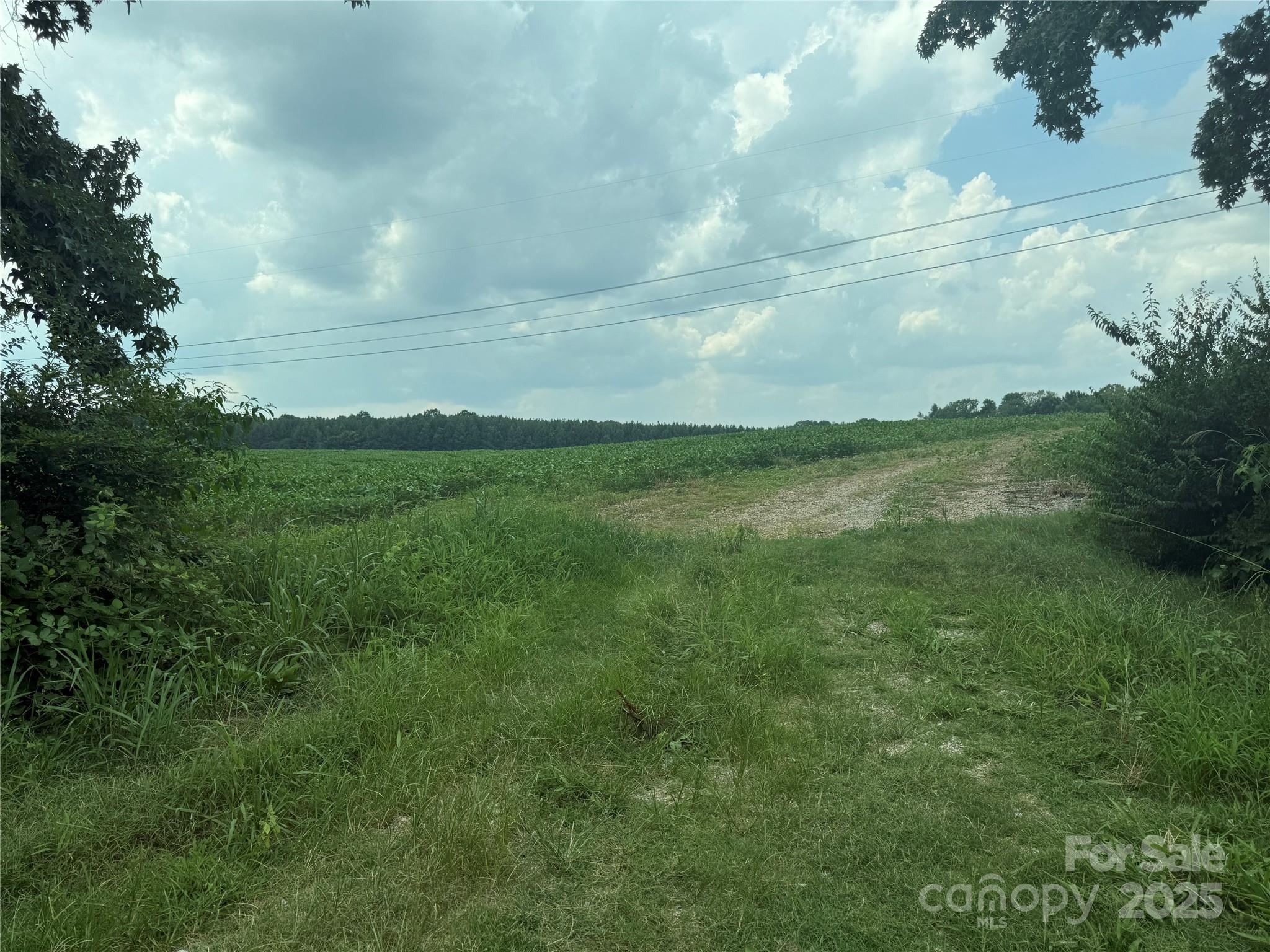 00 Snyder Store Road