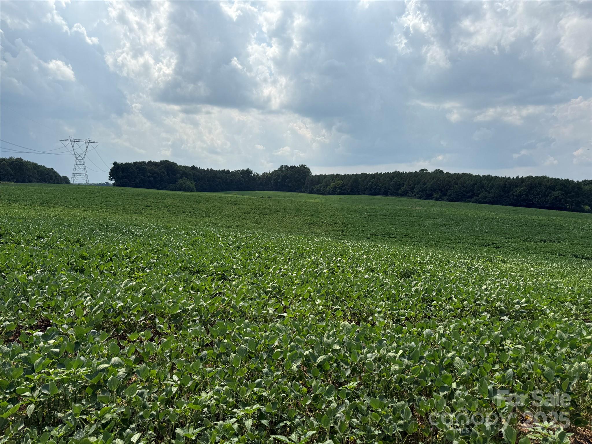 00 Snyder Store Road