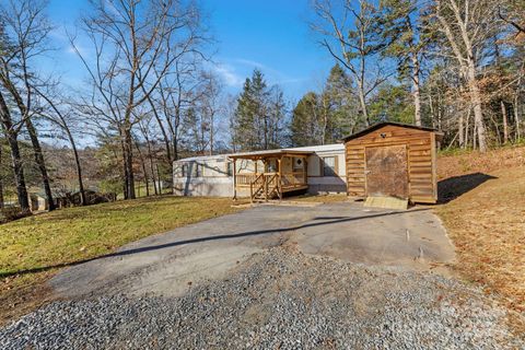 A home in Pisgah Forest